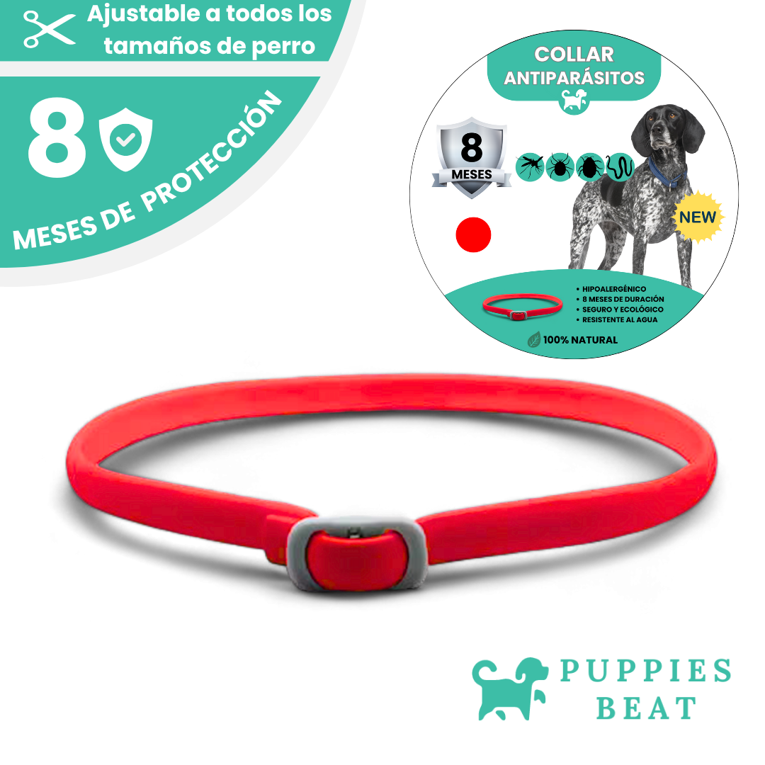 Collar Antiparásitos Natural