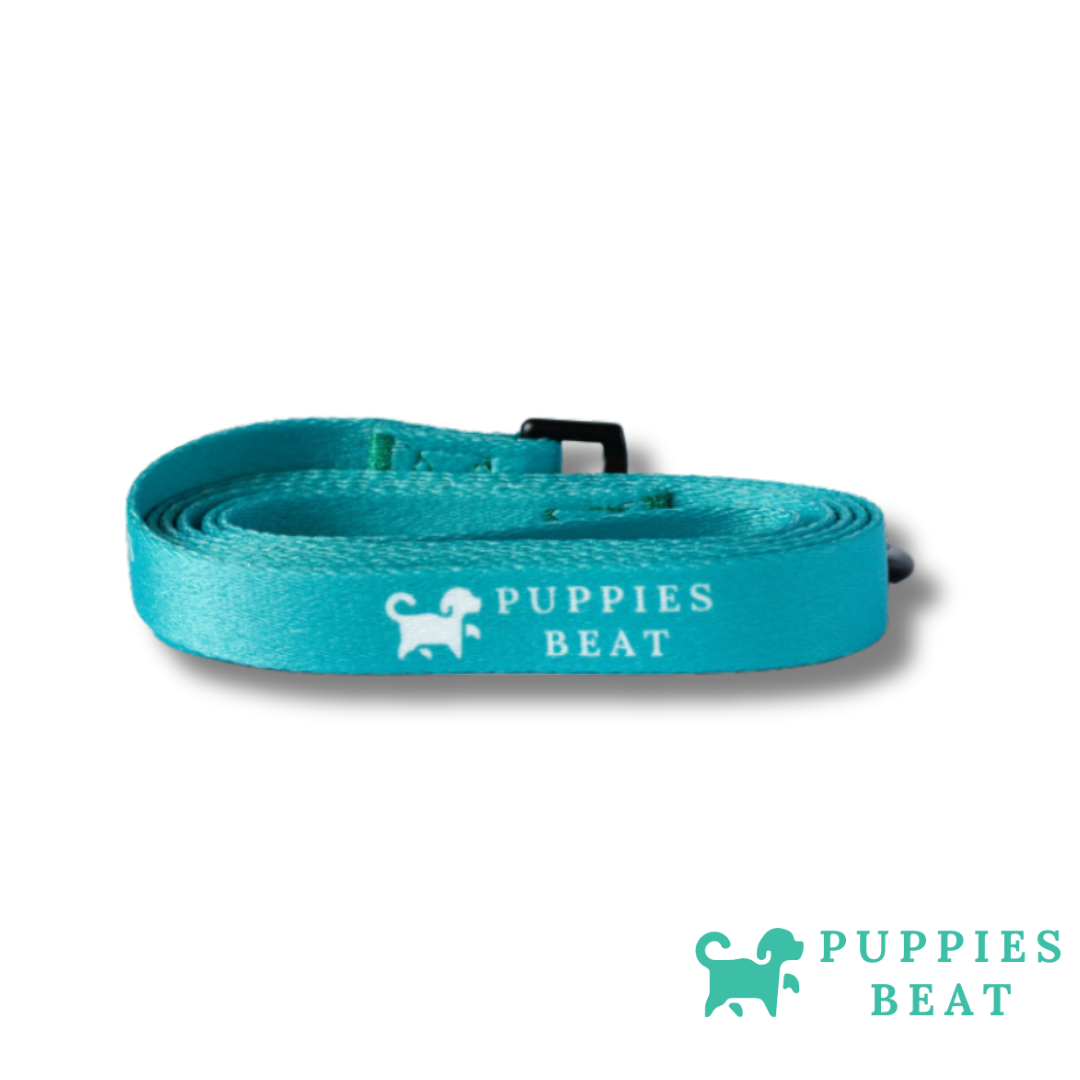 Sangle de battement pour chiots