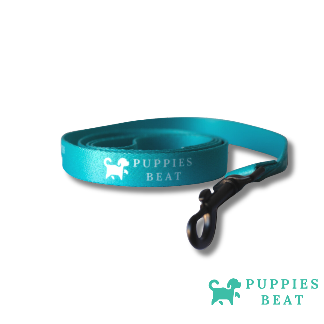 Sangle de battement pour chiots